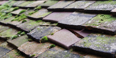 Purleigh roof repair costs